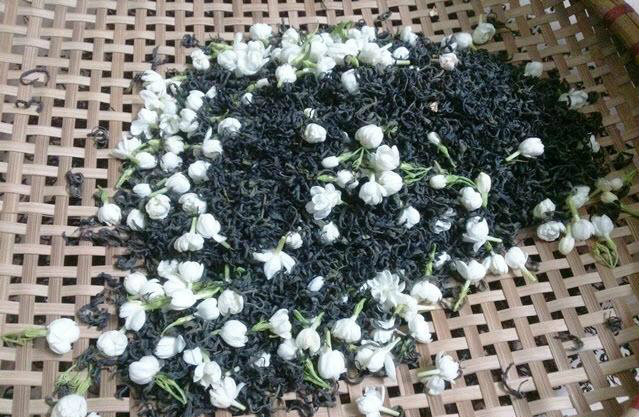 Jasmine green tea exports  - KIM VUONG EXPORT IMPORT Co.,JSC