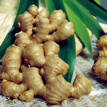 Gừng xuất khẩu