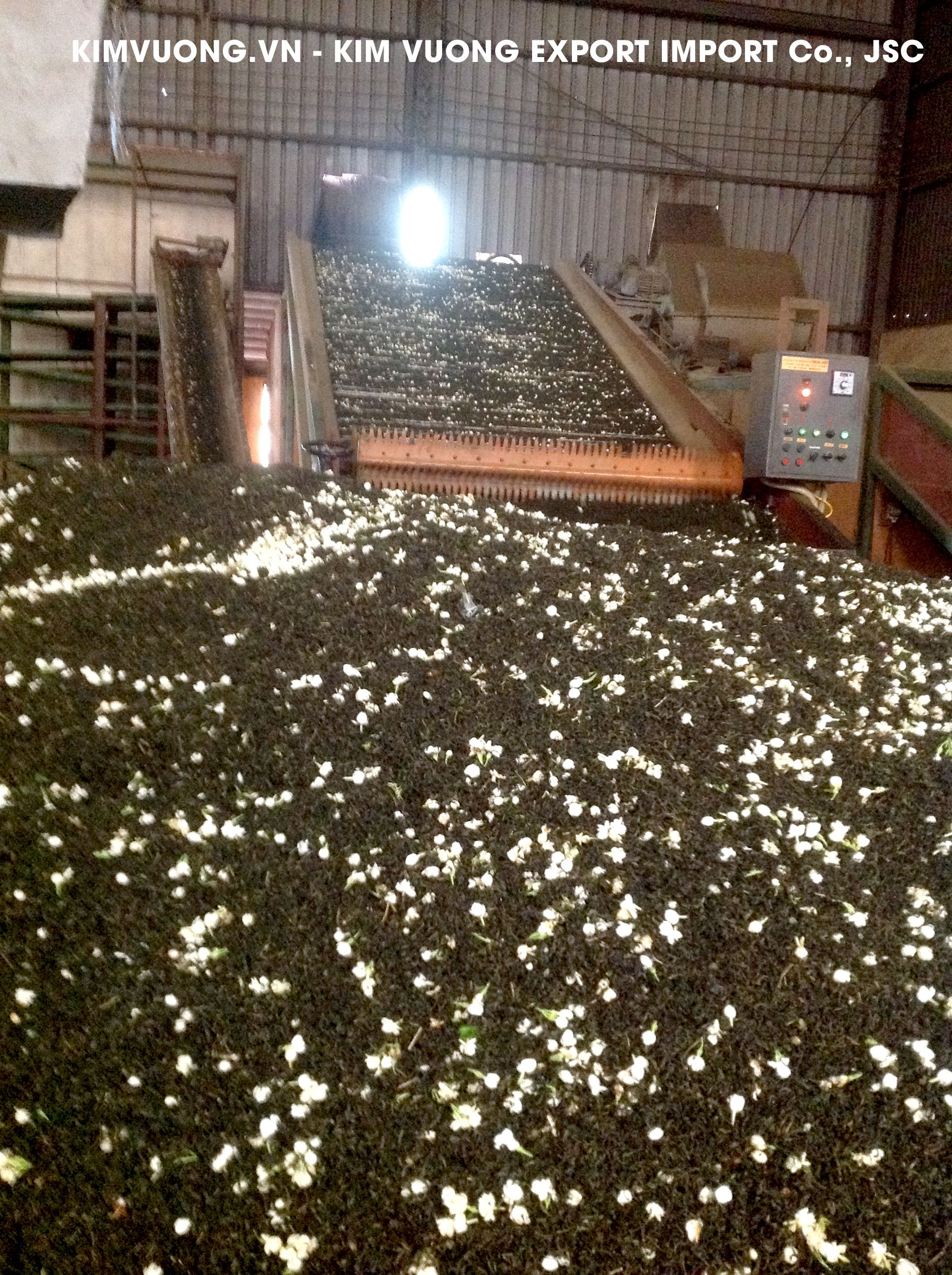Tea export factory 6 - KIM VUONG EXPORT IMPORT Co.,JSC1