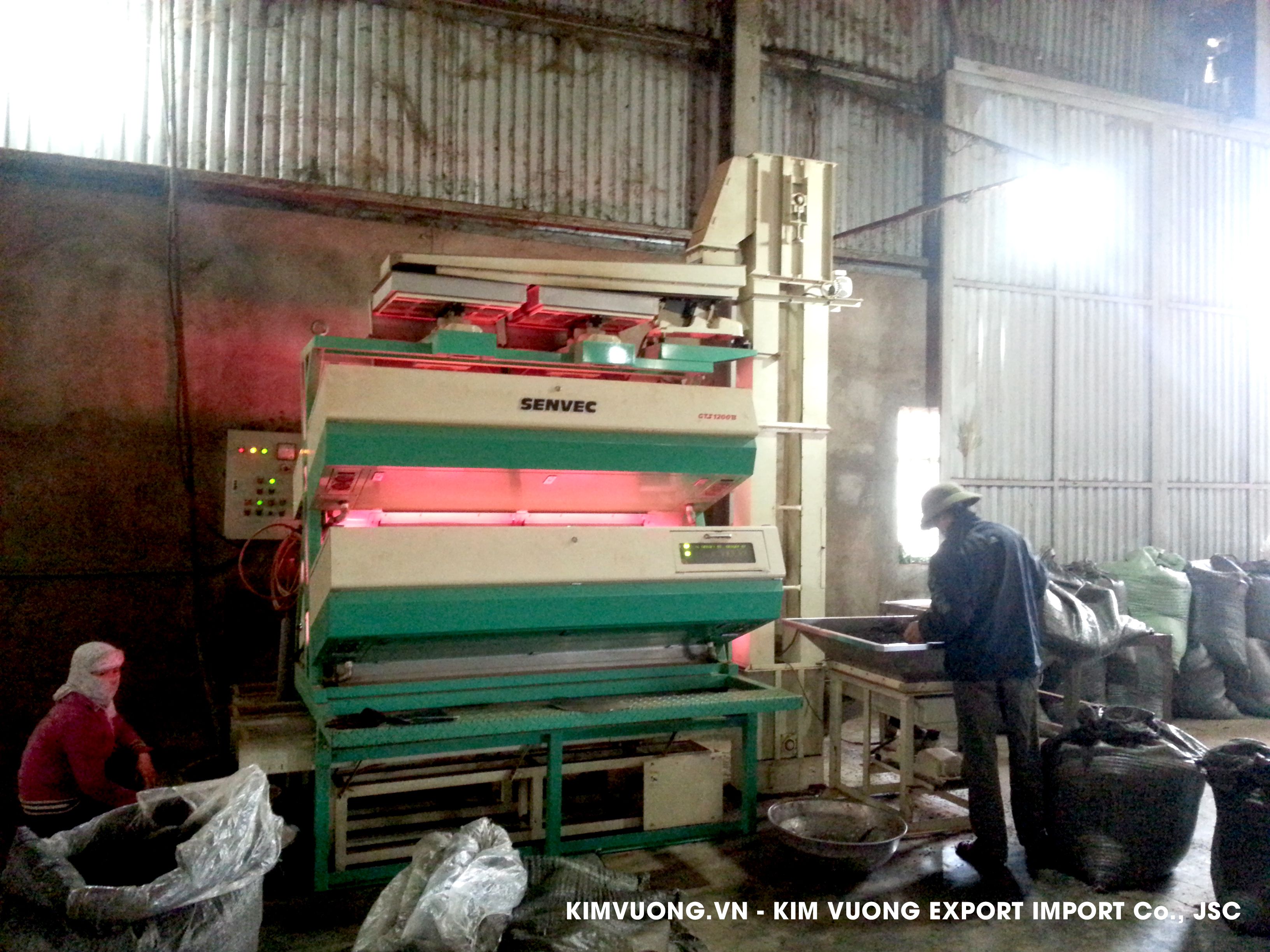 Tea export factory 1 - KIM VUONG EXPORT IMPORT Co.,JSC1G