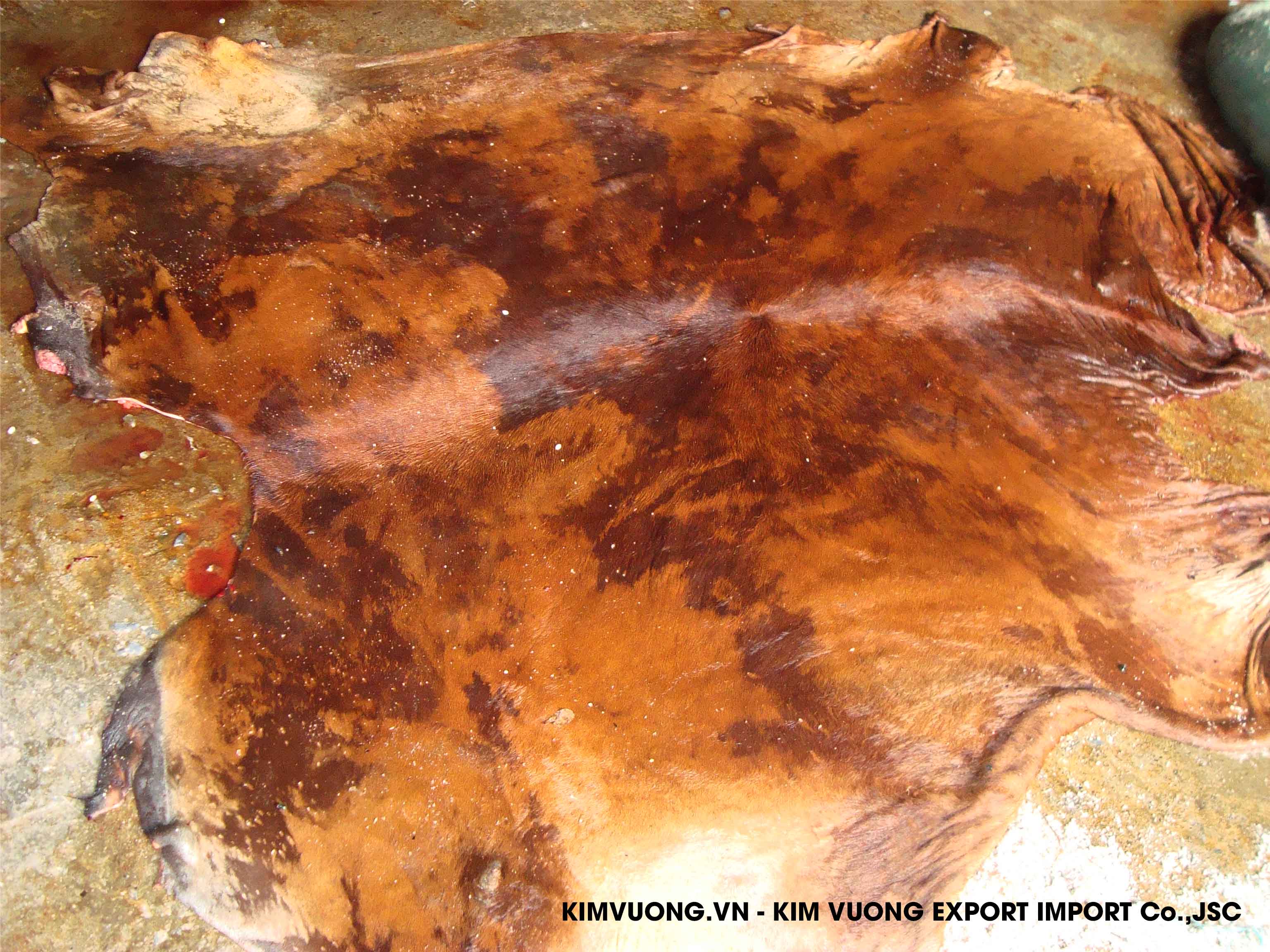 Wet salted cowhide