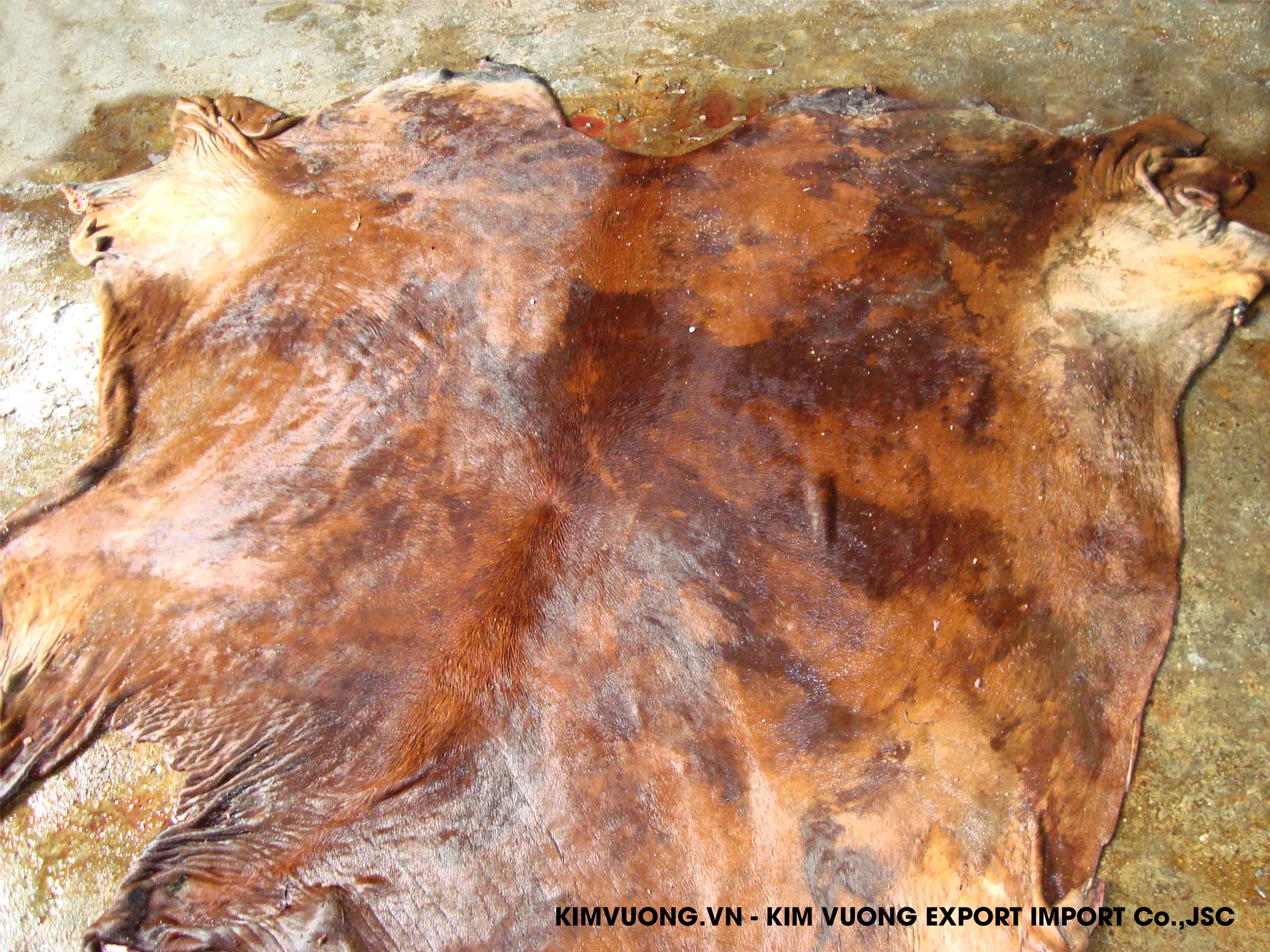 Wet salted cowhide