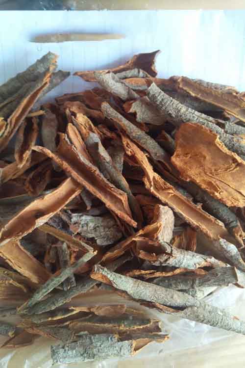 cinnamon